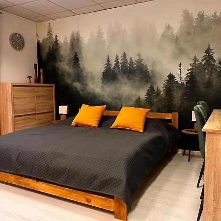 Apartmany V Centre - Vlastna Izba So Spolocnou Kuchynou A Kupelnou Moze Byt Zdielana 2 Inymi Izbami Martin Exteriör bild