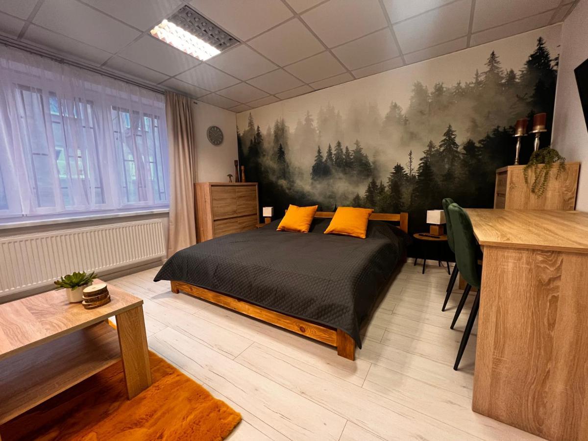 Apartmany V Centre - Vlastna Izba So Spolocnou Kuchynou A Kupelnou Moze Byt Zdielana 2 Inymi Izbami Martin Exteriör bild