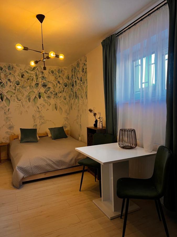 Apartmany V Centre - Vlastna Izba So Spolocnou Kuchynou A Kupelnou Moze Byt Zdielana 2 Inymi Izbami Martin Exteriör bild